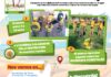 CAMPAÑA DE SENSIBILIZACION PREVENTIVA SOBRE INCENDIOS FORESTALES EN ARAGON.